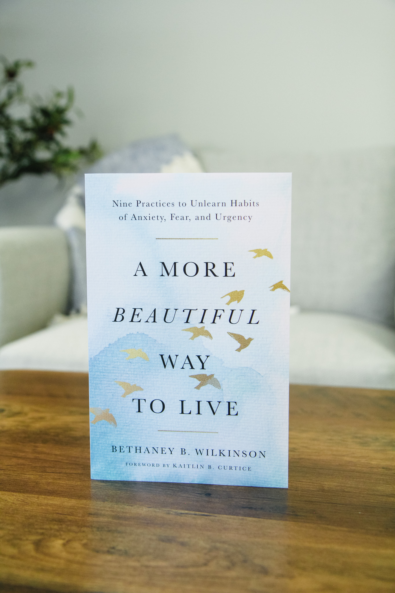 Introducing A More Beautiful Way
